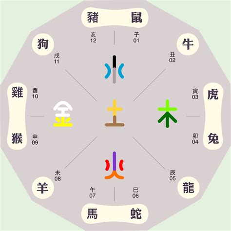 地支屬性|【12地支屬性】12地支屬性的奧秘：藴藏五行相生相剋之道